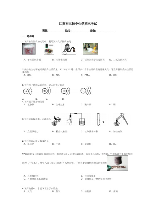 江苏初三初中化学期末考试带答案解析
