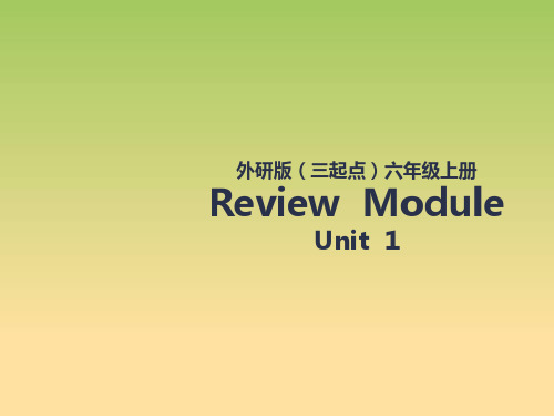 外研版六年级英语上册Review Module Unit1课件