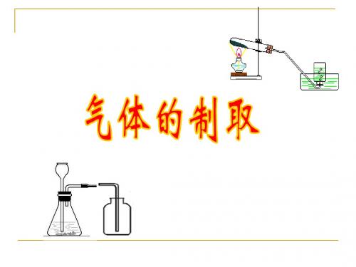 气体的制取复习专题上课用中考一轮复习