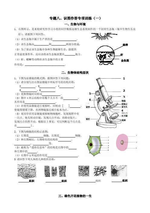 专题八识图作答专项训练