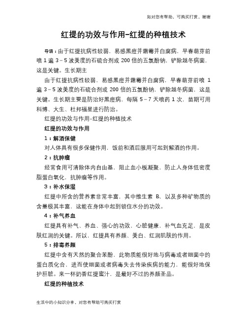 红提的功效与作用-红提的种植技术