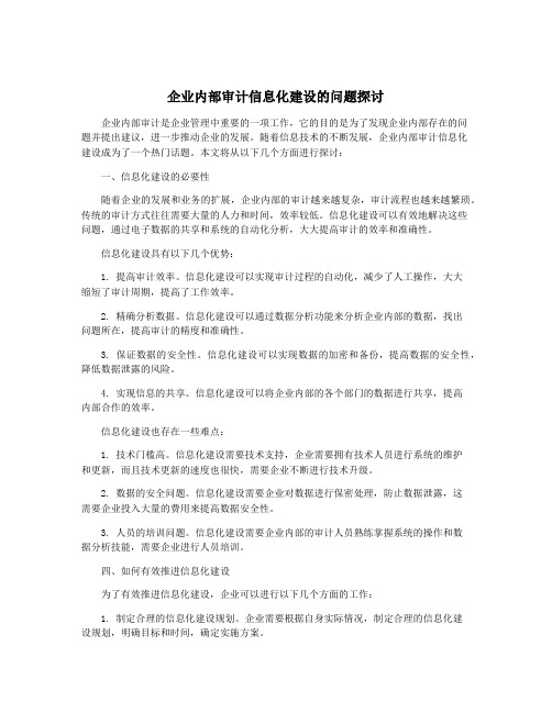 企业内部审计信息化建设的问题探讨