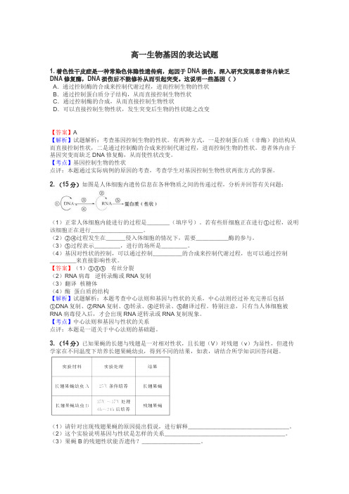 高一生物基因的表达试题