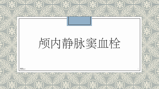 颅内静脉窦血栓