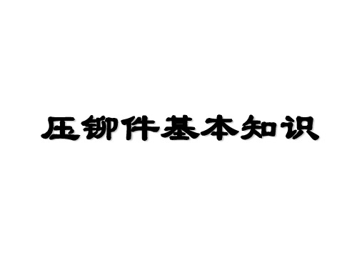 压铆件知识剖析-38页文档资料