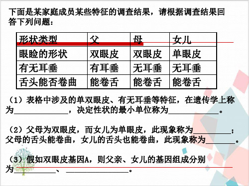 人教版生物的变异-ppt下载