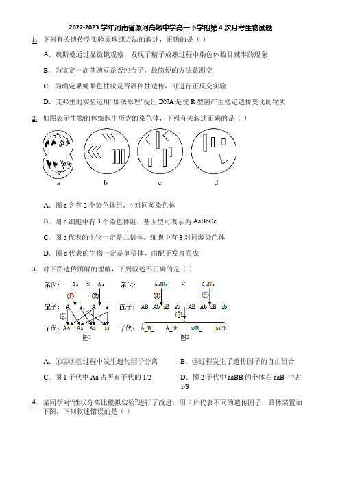 2022-2023学年河南省漯河高级中学高一下学期第4次月考生物试题