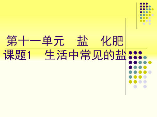 生活中常见的盐-九年级化学人教版下册