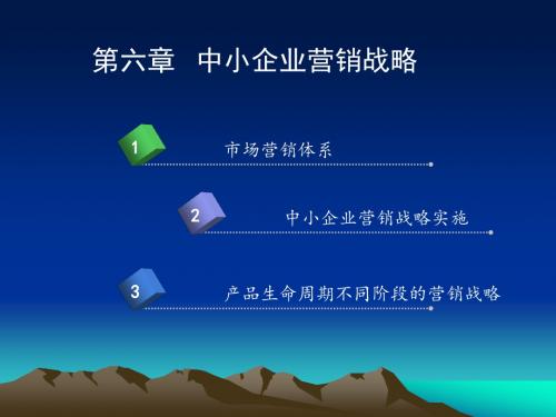 6、中小企业营销战略