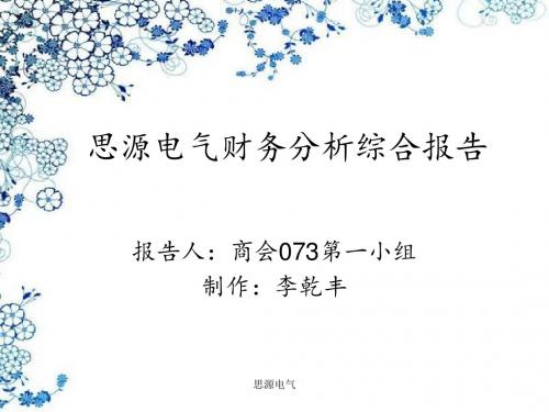 思源电气财务分析综合报告-PPT精选文档