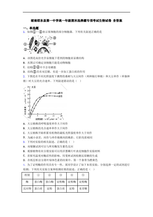 湖南邵东县第一中学高一年级期末选择题专项考试生物试卷 含答案