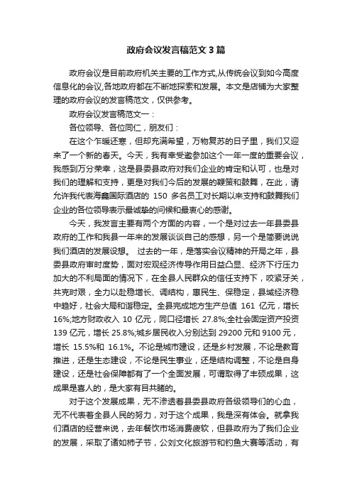 政府会议发言稿范文3篇