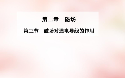 高中物理 第二章 第三节 磁场对通电导线的作用课件 新人教版选修1-1 