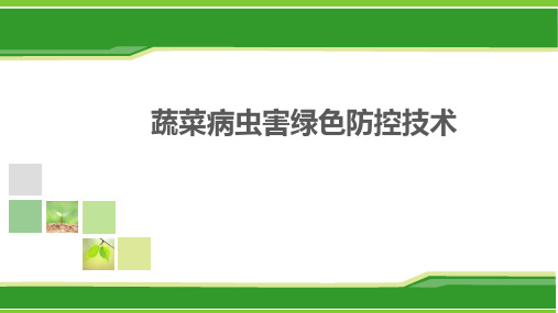 蔬菜几种常见病虫害绿色防控技术