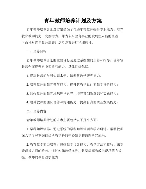 青年教师培养计划及方案(2)