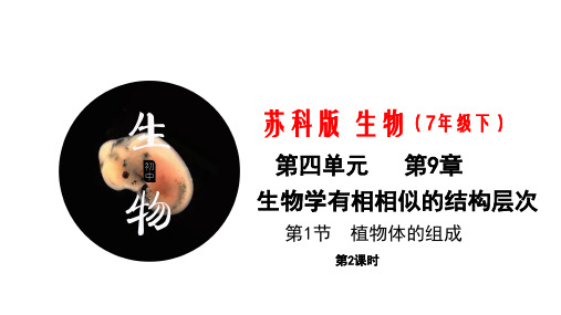 9.1 植物体的组成第2课时(课件)七年级生物下册同步精品课堂(苏科版)