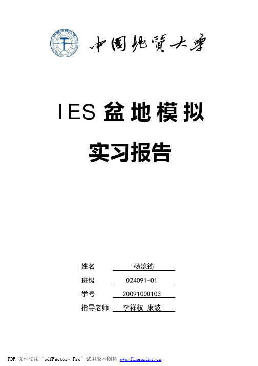 盆地模拟实习报告