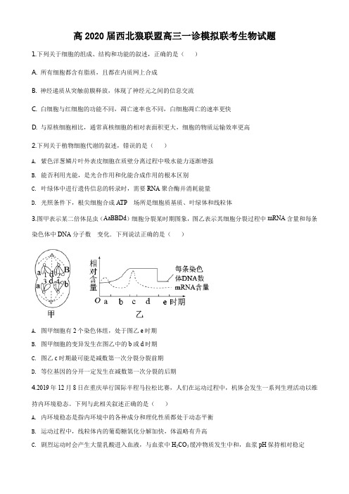 西北狼联盟2019-2020学年高三一诊模拟联考生物试题