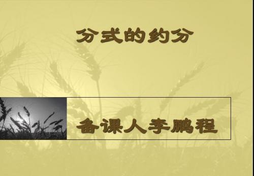 8.2分式的基本性质(2