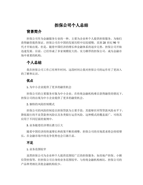 担保公司个人总结