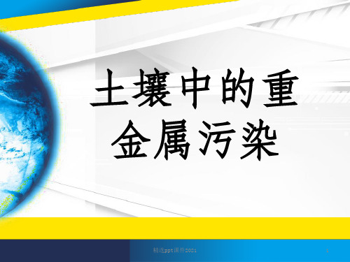 土壤中的重金属污染ppt课件