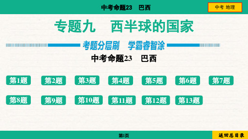 2024年中考地理总复习考点培优专题九西半球的国家命题23 巴西