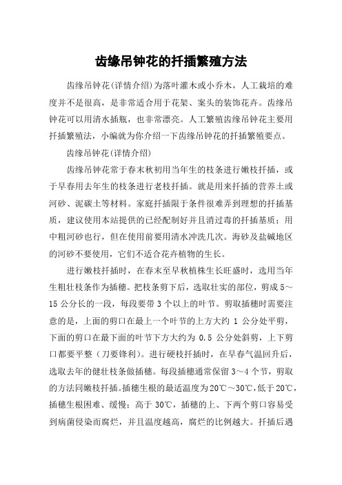 齿缘吊钟花的扦插繁殖方法