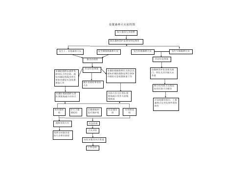 处置森林火灾流程图
