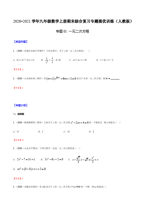 专题01 一元二次方程(解析版)-2020-2021学年九年级数学上册期末综合复习专题提优训练