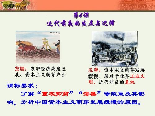 6.近代前夜的发展与迟滞