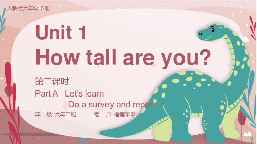 小学英语六年级下册第二课时《How Tall Are You》教育教学课件