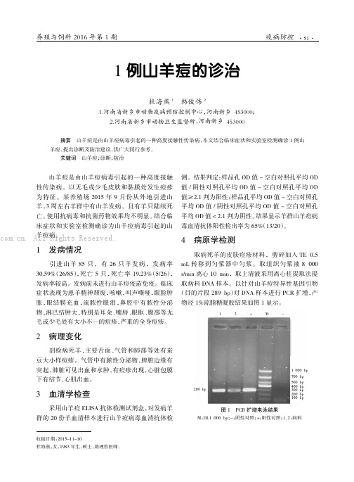 1例山羊痘的诊治