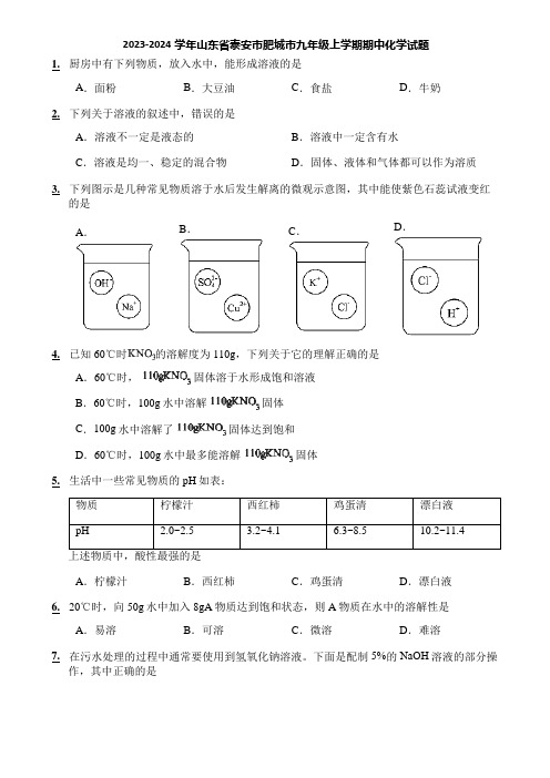 2023-2024学年山东省泰安市肥城市九年级上学期期中化学试题