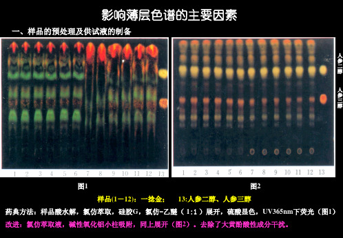 04第1章影响薄层色谱因素