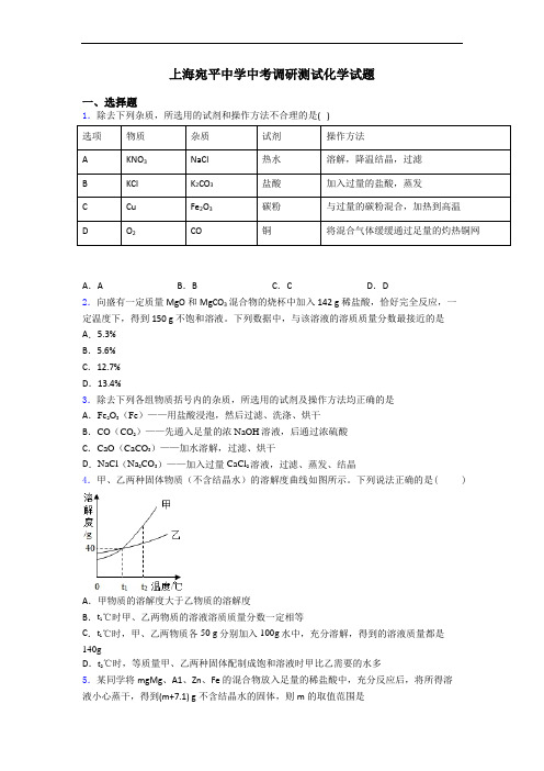 上海宛平中学中考调研测试化学试题