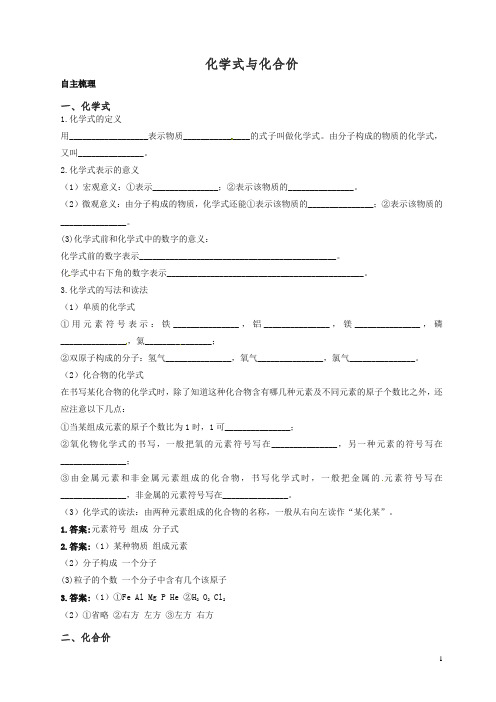 新人教版中考化学复习精品 化学式与化合价.doc