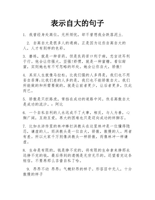 表示自大的句子