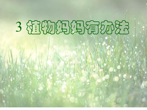 最新人教部编版二年级语文上册《植物妈妈有办法》教学课件