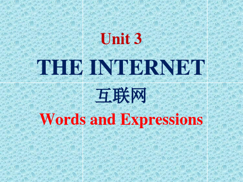 Unit3TheInternet单词课件高中英语人教版