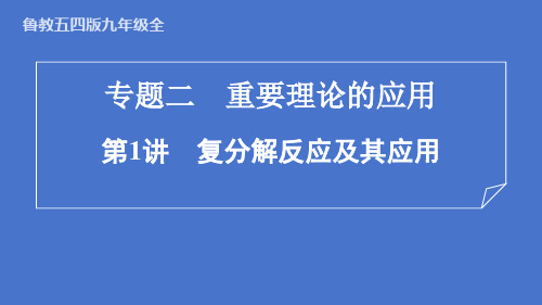 2024年中考化学鲁教版(五四学制)全一册专题二 第1讲复分解反应及其应用课件