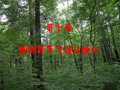 园林生态学(第十章-植物群落与园林绿化)2012