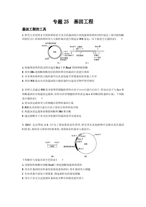 高二生物基因工程细胞工程试卷