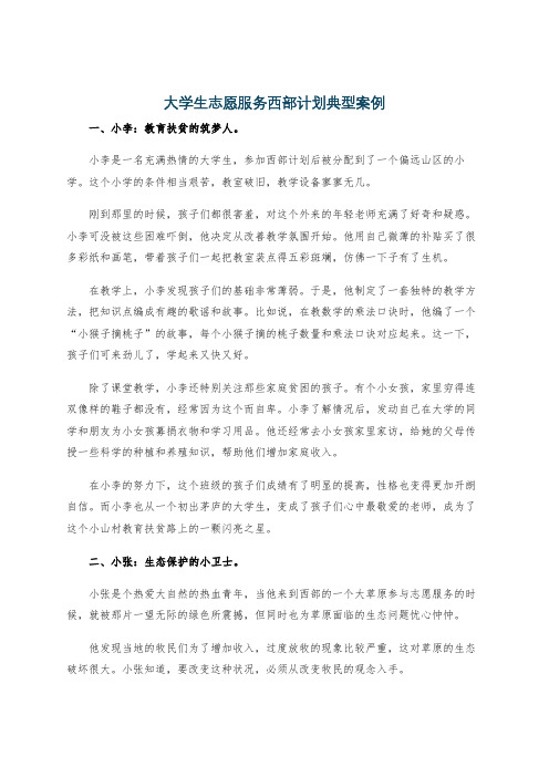 大学生志愿服务西部计划典型案例