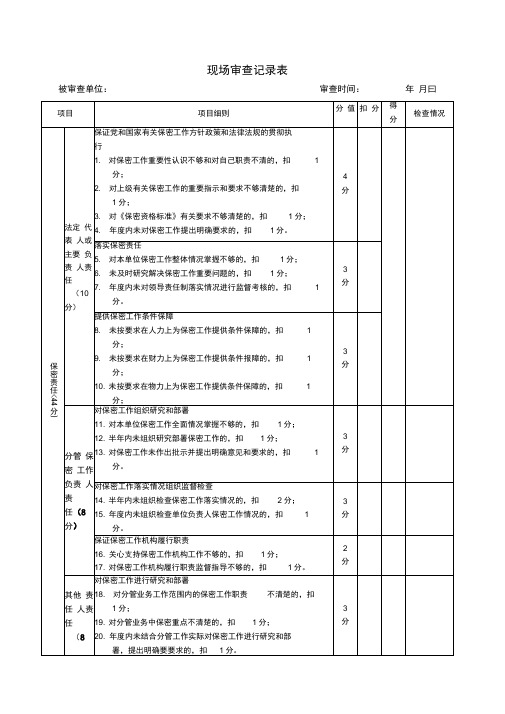 现场审查记录表