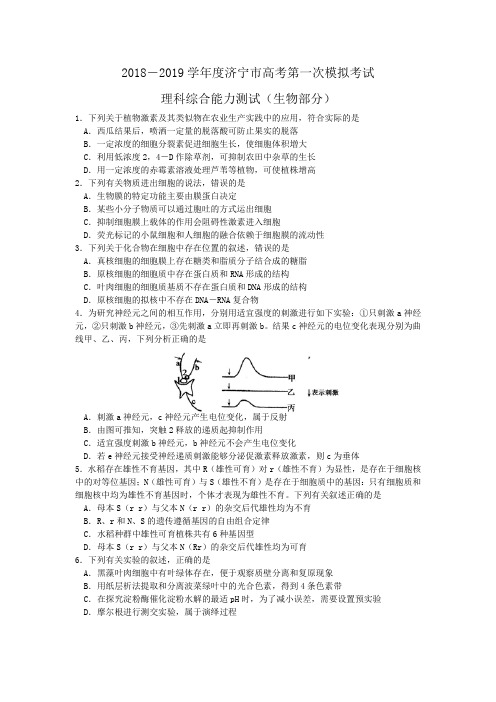 山东济宁2019年高三一模生物试题(word版)