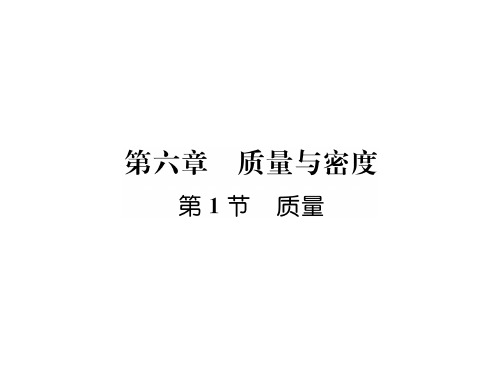 秋人教版八年级物理上册同步作业课件:第6章第1节 质量 (共23张PPT)
