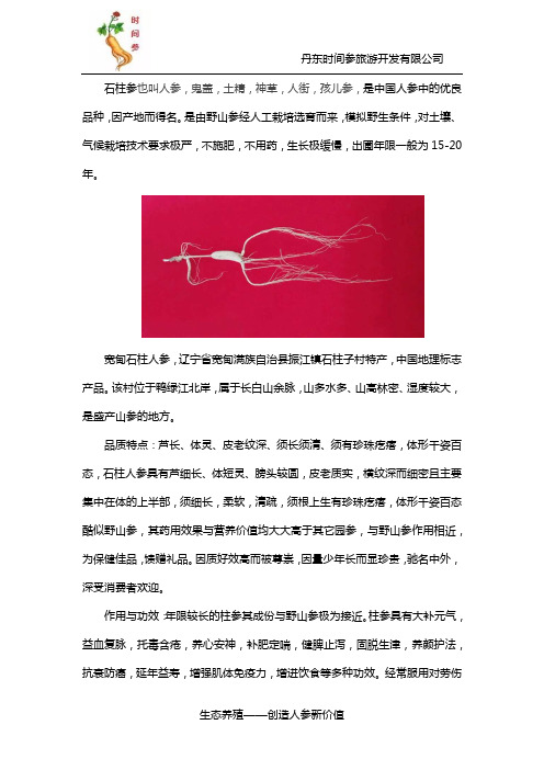 石柱参的功效特点是什么及其价格