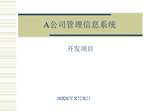 某公司管理信息系统开发项目概述(PPT26页)