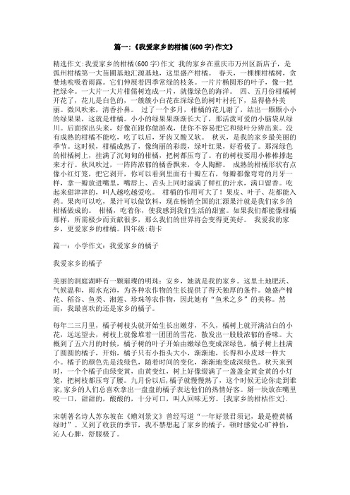 我家乡的柑桔作文
