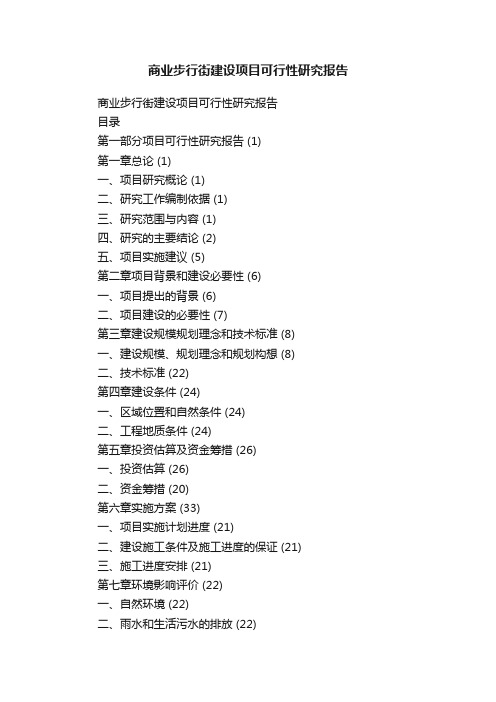 商业步行街建设项目可行性研究报告